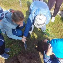 Przedszkolaki sadzą drzewka z akcji #sadziMY