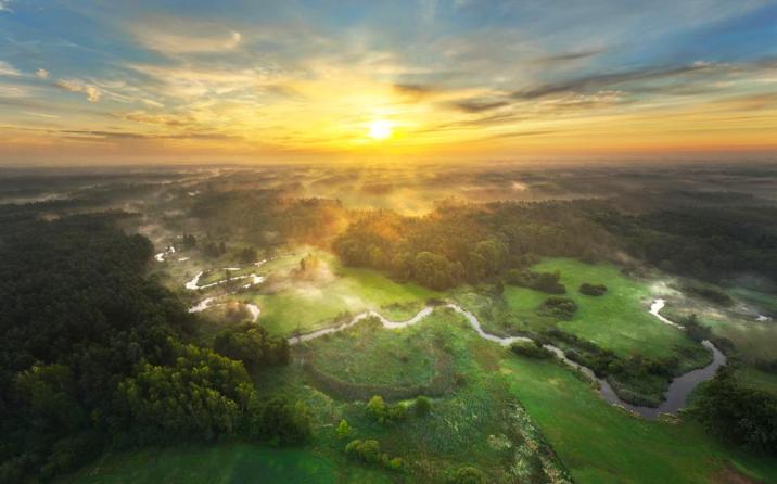 Wschód słońca nad lasem (Fot. Piotr Krześlak)